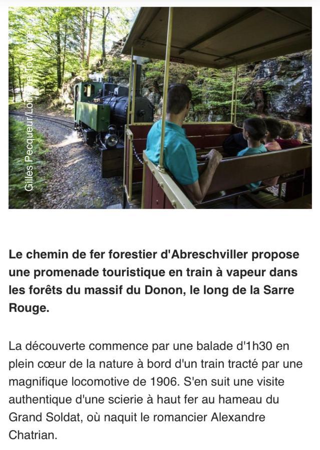 Maison Spacieuse Et Accueillante A Cirey-Sur-Vezouze + Jardin Ngoại thất bức ảnh